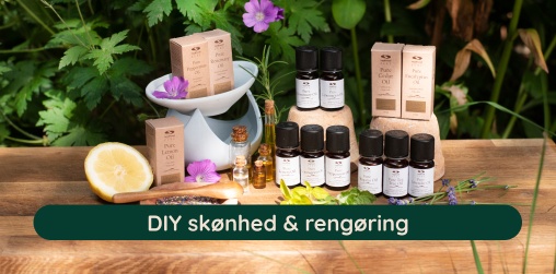 DIY Sknhed & Rengring